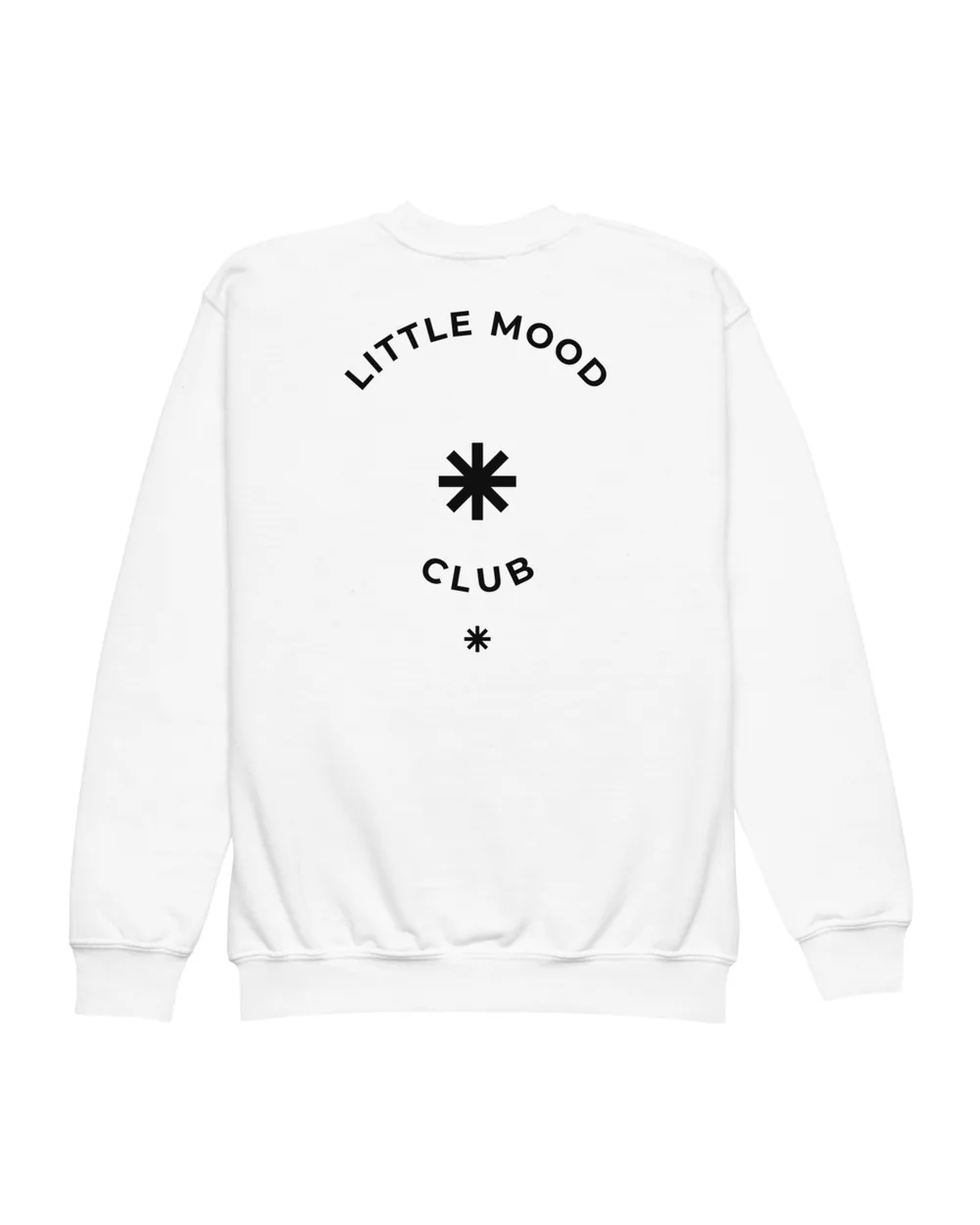 Little Club Sweatshirt Back
